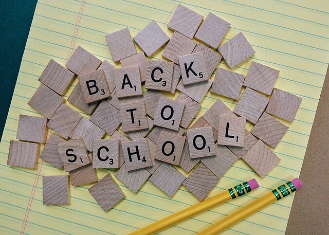 Iscrizioni Online Anno Scolastico 2025/26